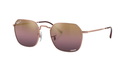 Ray-Ban 3694